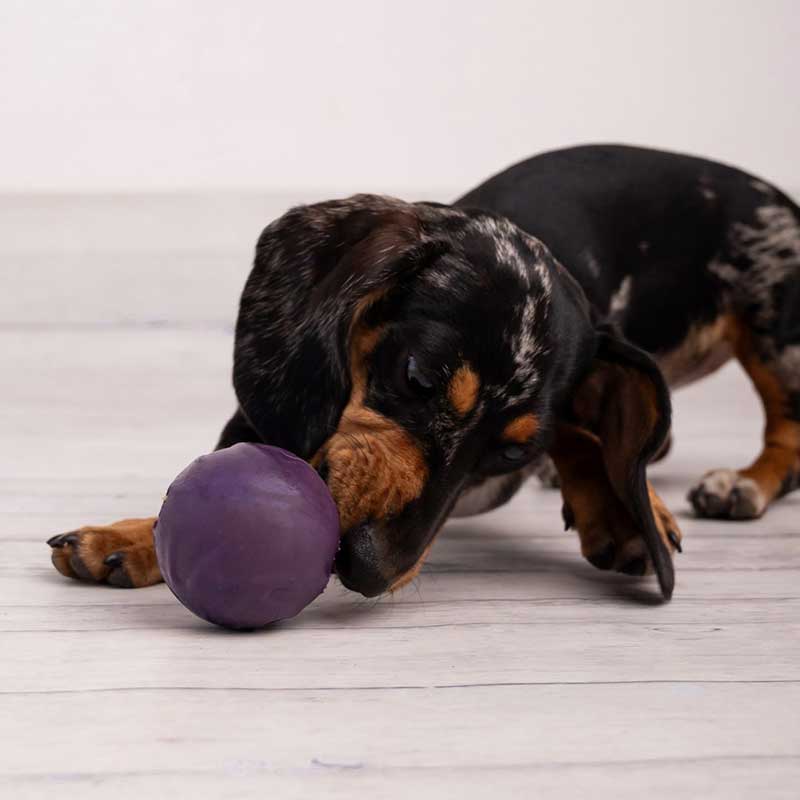 Pelota Glotoni Soft (Nueva fórmula más flexible) - Imagen 3